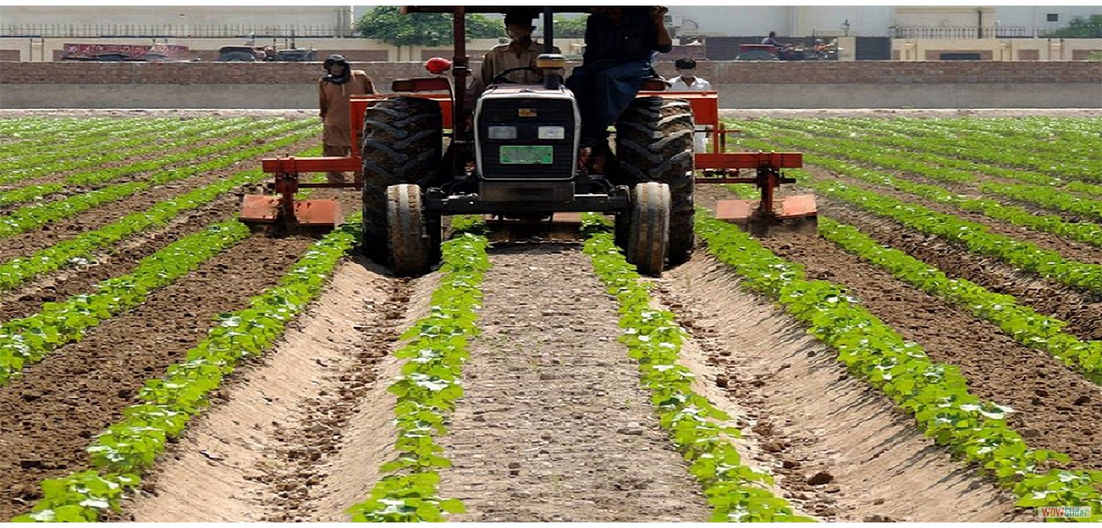 High Tine Rotary Ridger